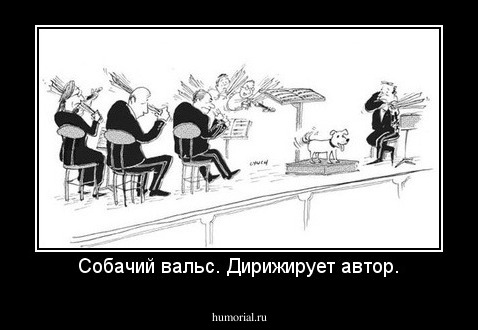 Собачий вальс. Дирижирует автор.