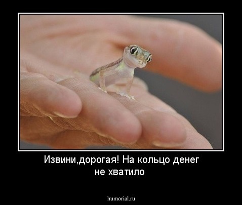 Извини,дорогая! На кольцо денег не хватило