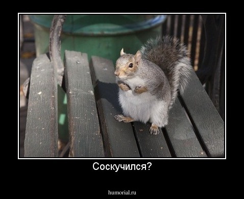 Соскучился?