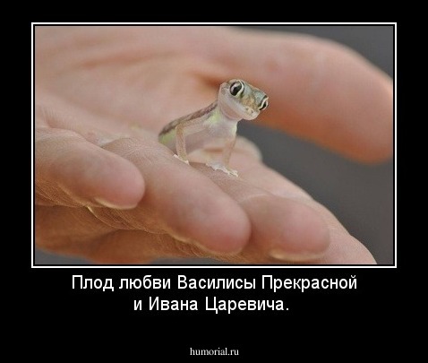 Плод любви  Василисы Прекрасной и Ивана Царевича.