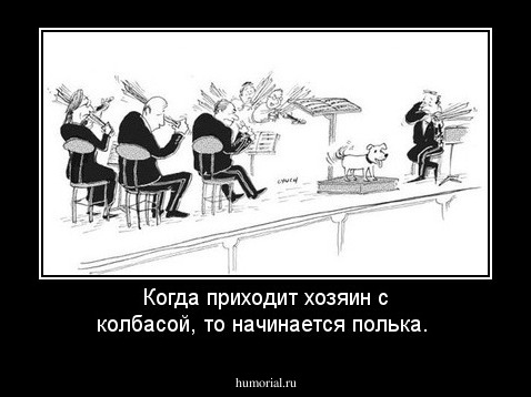 Когда приходит хозяин с колбасой, то начинается полька.