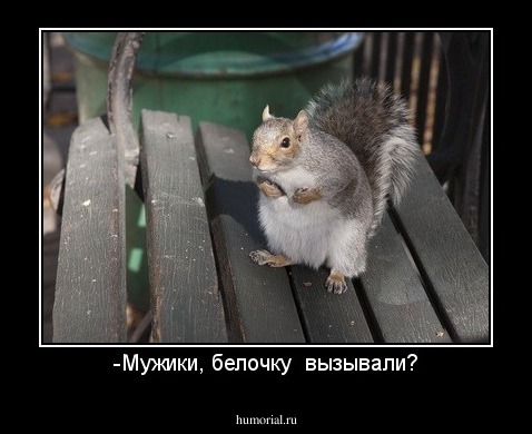 -Мужики, белочку  вызывали?