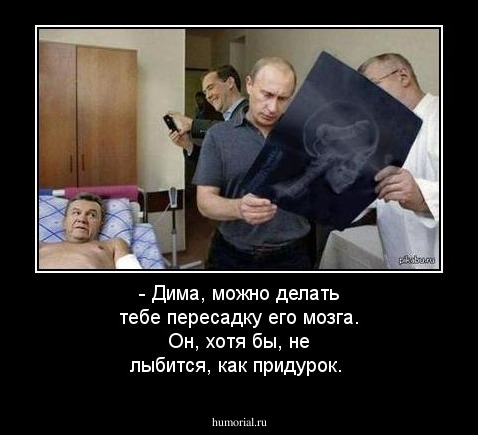 - Дима, можно делать тебе пересадку его мозга. Он, хотя бы, не лыбится, как придурок. 