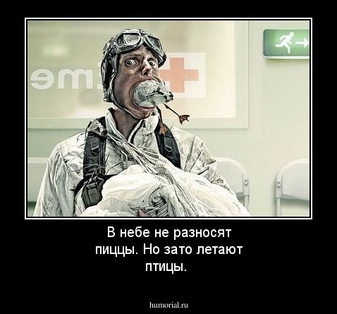 В небе не разносят пиццы. Но зато летают птицы. 