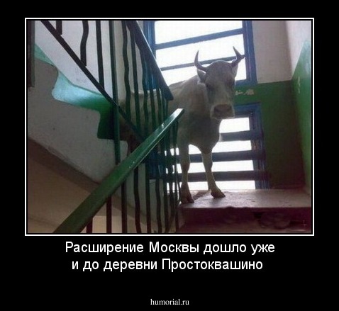 Расширение Москвы дошло уже и до деревни Простоквашино 