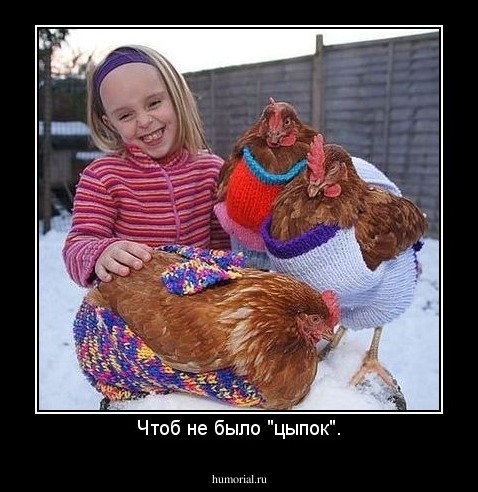 Чтоб не было "цыпок".
