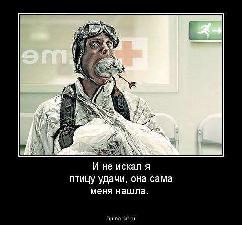 И не искал я птицу удачи, она сама меня нашла.