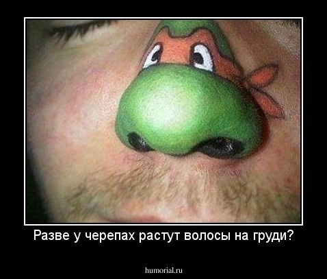 Разве у черепах растут волосы на груди?