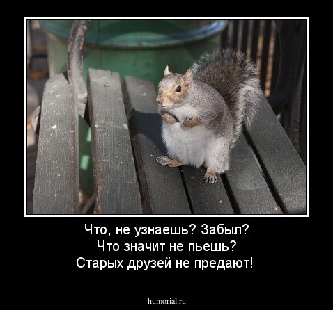 Что, не узнаешь? Забыл? Что значит не пьешь? Старых друзей не предают!