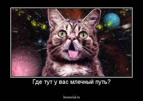 Где тут у вас млечный путь?