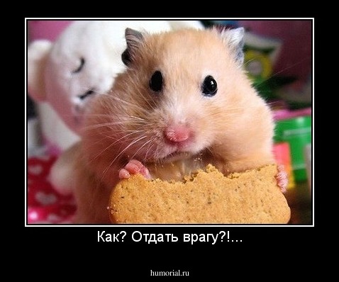 Как? Отдать врагу?!...