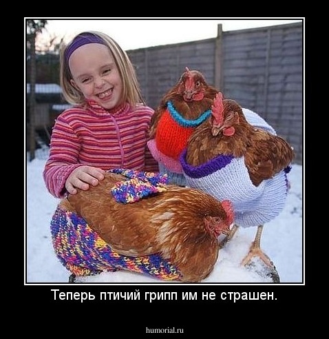 Теперь птичий грипп им не страшен.