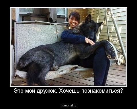 Это мой дружок. Хочешь познакомиться?