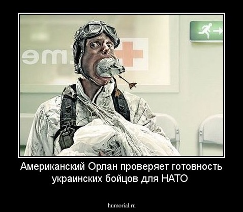Американский Орлан проверяет готовность украинских бойцов для НАТО