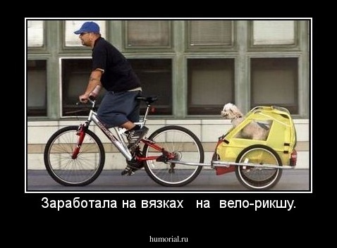 Заработала на вязках   на  вело-рикшу.