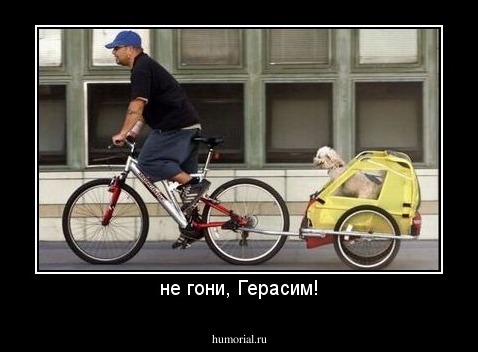 не гони, Герасим!