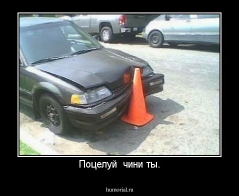 Поцелуй  чини ты.
