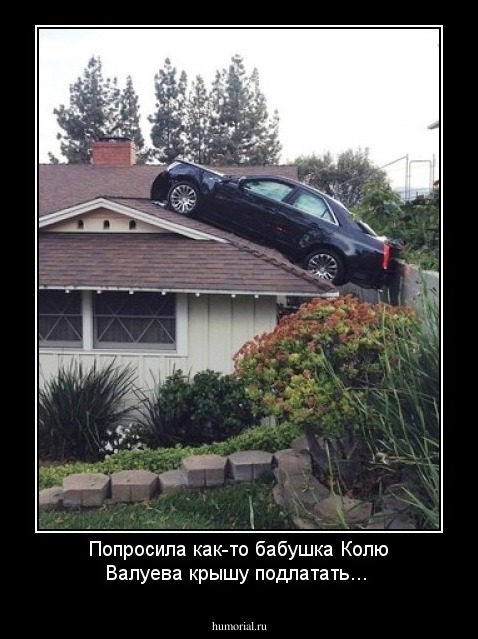 Попросила как-то бабушка Колю Валуева крышу подлатать...