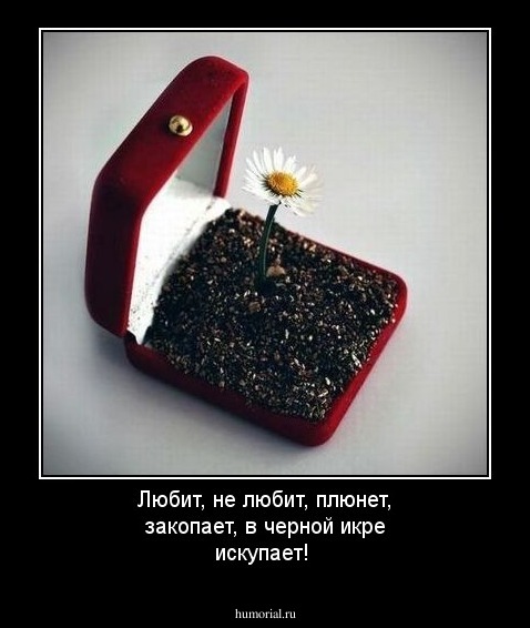 Любит, не любит, плюнет, закопает, в черной икре искупает!