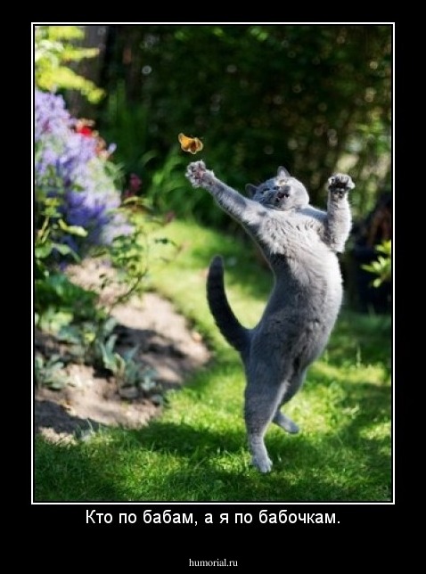 Кто по бабам, а я по бабочкам.