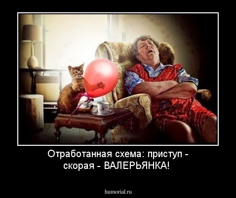 Отработанная схема: приступ - скорая - ВАЛЕРЬЯНКА!