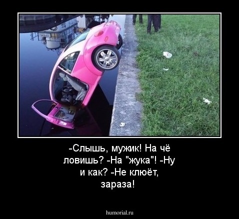 -Слышь, мужик! На чё ловишь?
-На "жука"!
-Ну и как?
-Не клюёт, зараза!