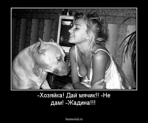 -Хозяйка! Дай мячик!!
-Не дам!
-Жадина!!!