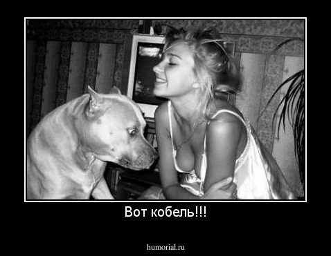 Вот кобель!!!
