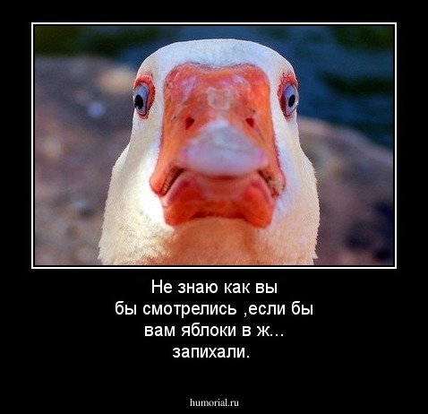 Не знаю как вы бы смотрелись ,если бы вам яблоки в ж... запихали.