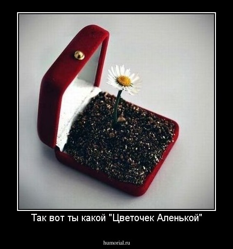 Так вот ты какой "Цветочек Аленькой"