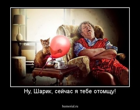 Ну, Шарик, сейчас я тебе отомщу!