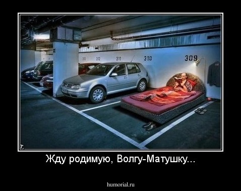 Жду родимую, Волгу-Матушку...