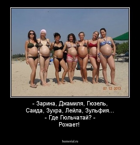 - Зарина, Джамиля, Гюзель, Саида, Зухра, Лейла, Зульфия... - Где Гюльчатай? - Рожает!