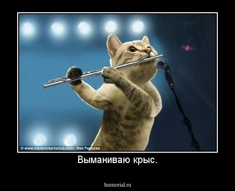 Выманиваю крыс.
