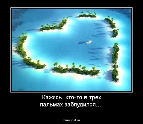 Кажись, кто-то в трех пальмах заблудился...