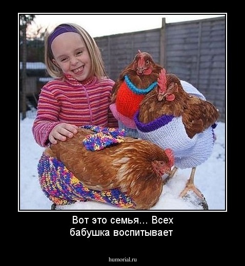 Вот это семья... Всех бабушка воспитывает 