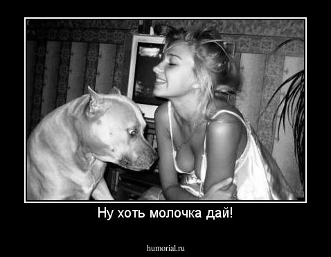 Ну хоть молочка дай!