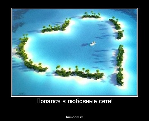 Попался в любовные сети!