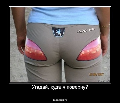 Угадай, куда я поверну?