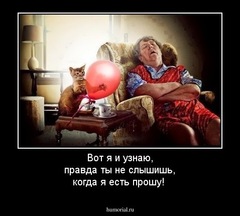 Вот я и узнаю, правда ты не слышишь, когда я есть прошу! 