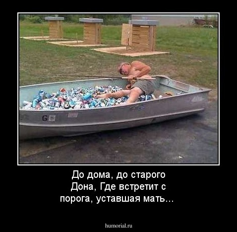 До дома, до старого Дона,
Где встретит с порога, уставшая мать...