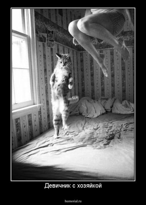 Девичник с хозяйкой