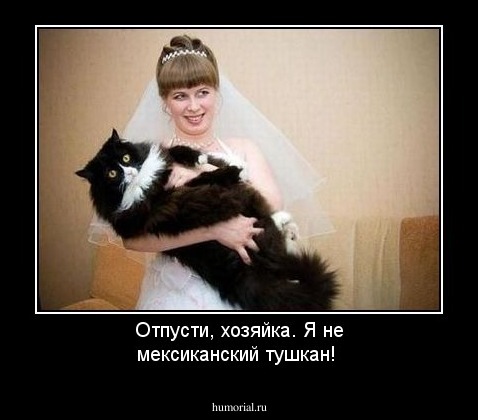 Отпусти, хозяйка. Я не мексиканский тушкан!