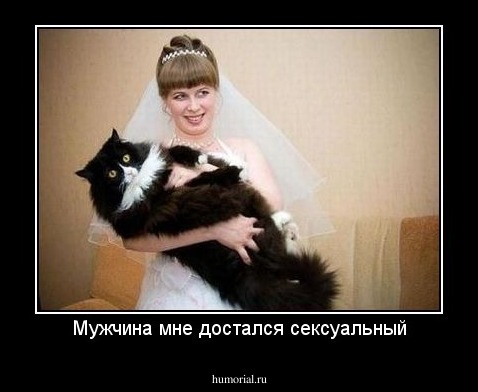Мужчина мне достался сексуальный
