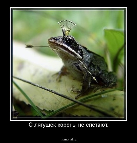 С лягушек короны не слетают.