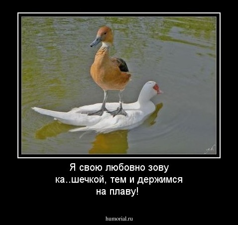 Я  свою  любовно зову  ка..шечкой,  тем и держимся на плаву!