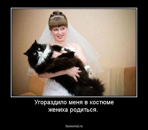 Угораздило меня в костюме жениха родиться.