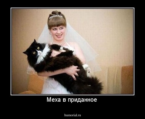 Меха в приданное 