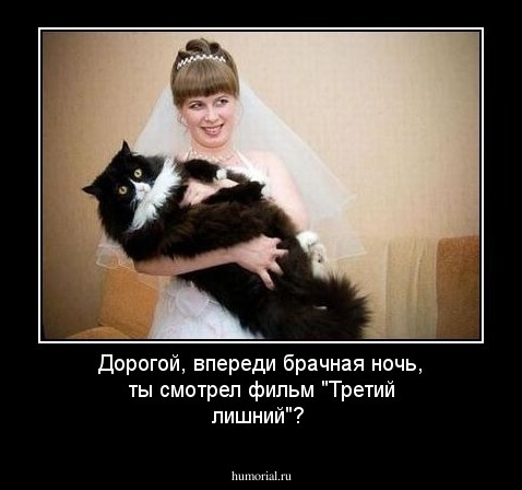 Дорогой, впереди брачная ночь, ты смотрел фильм "Третий лишний"?
