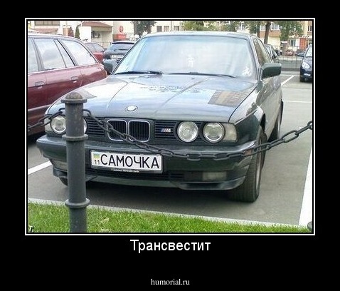 Трансвестит